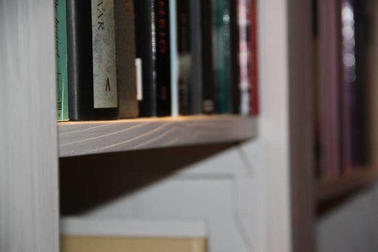 Boekenkast met verlichting, uitgeborsteld hout, vestelbare planken, amsterdam
