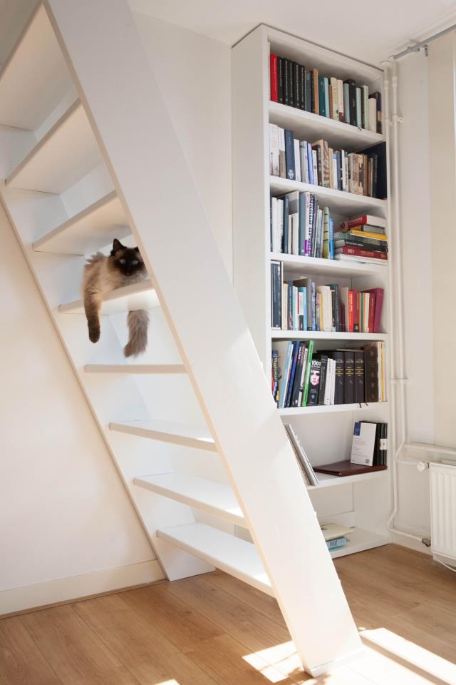 Trap Witgeschilderd en Boekenkast Vurenhout, Amstedam